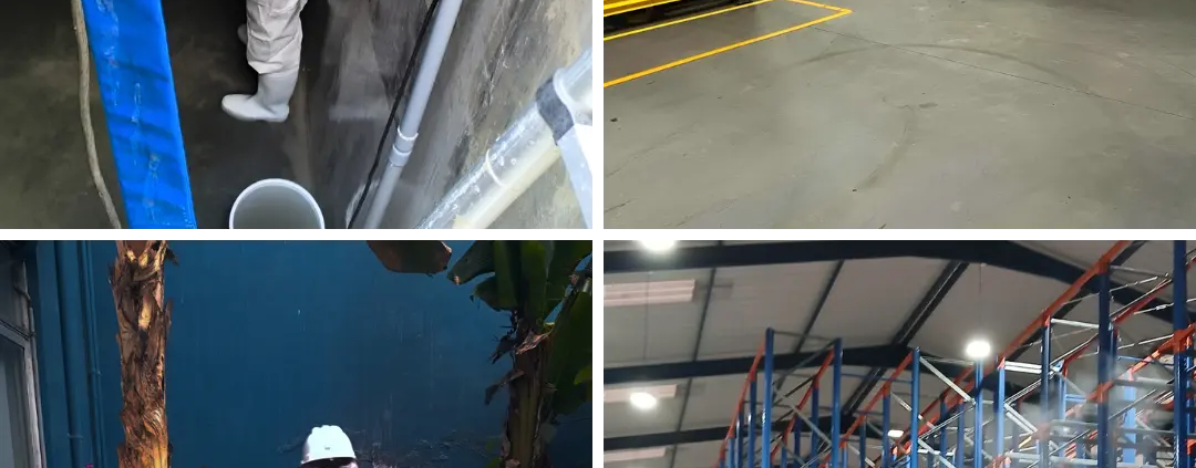 Control de Plagas en la Industria Alimentaria
