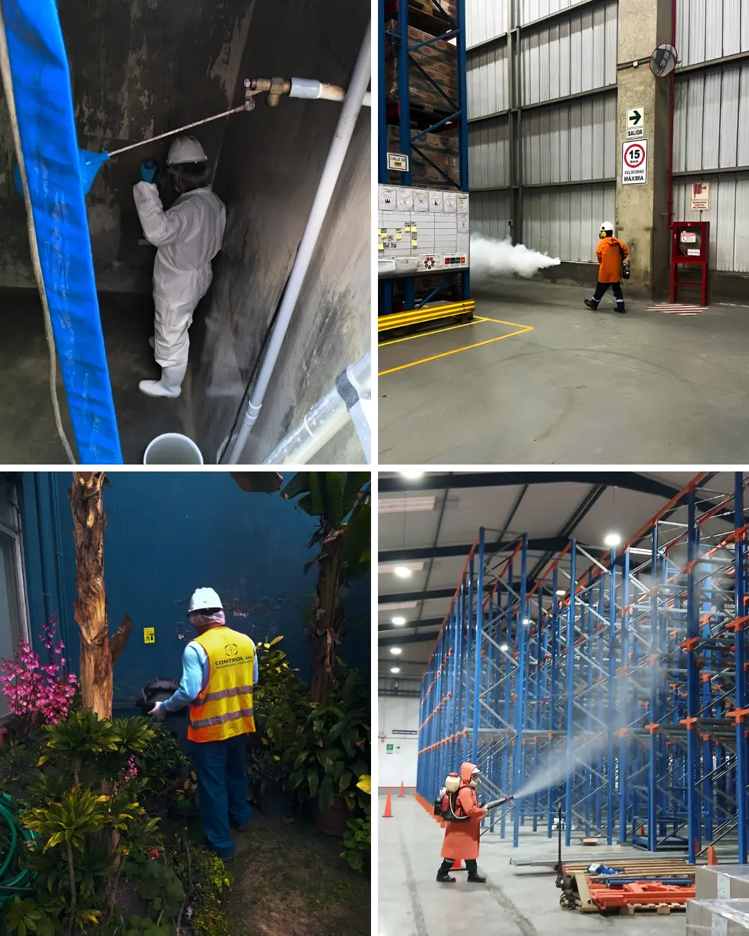 Control de Plagas en la Industria Alimentaria